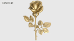 Rose Flowers Pack