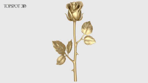 Rose Flowers Pack