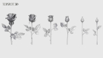 Rose Flowers Pack