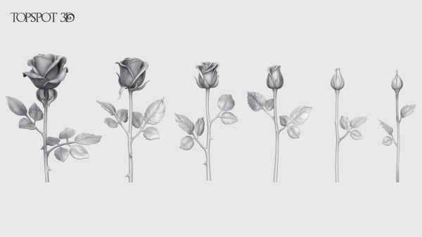 Rose Flowers Pack