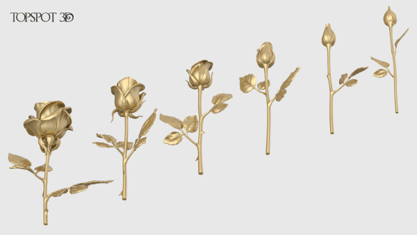 Rose Flowers Pack