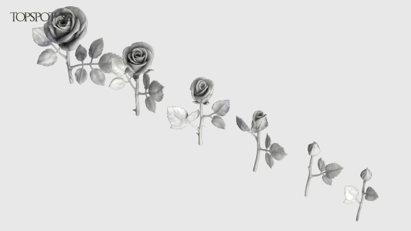 Rose Flowers Pack