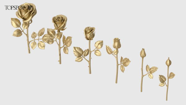 Rose Flowers Pack