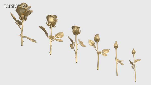 Rose Flowers Pack