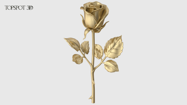 Rose Flowers Pack