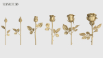 Rose Flowers Pack