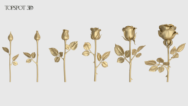 Rose Flowers Pack