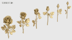 Rose Flowers Pack