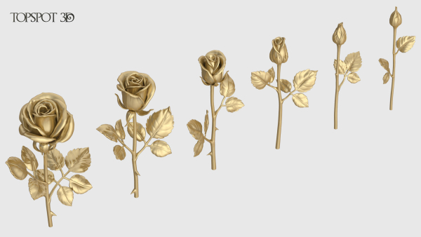 Rose Flowers Pack