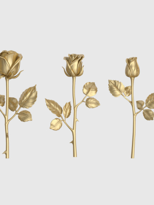 Rose Flowers Pack