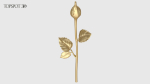 Rose Flowers Pack