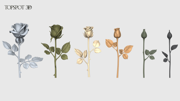 Rose Flowers Pack