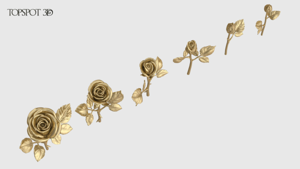 Rose Flowers Pack