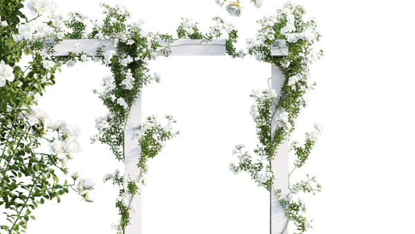 Rose garden-Bundle 08