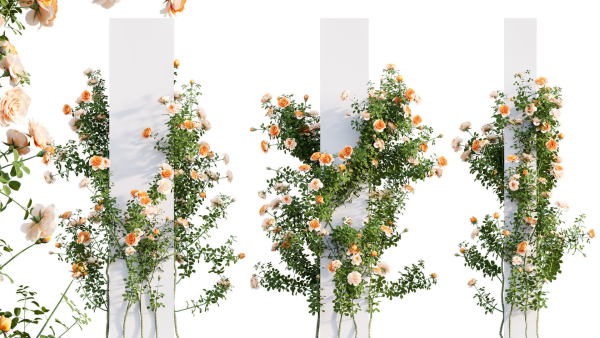 Rose garden-Bundle 08