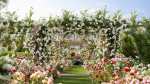 Rose garden-Bundle 08