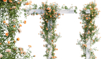 Rose garden-Bundle 08