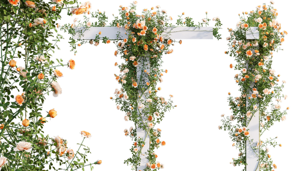 Rose garden-Bundle 08
