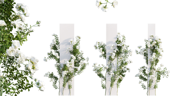 Rose garden-Bundle 08