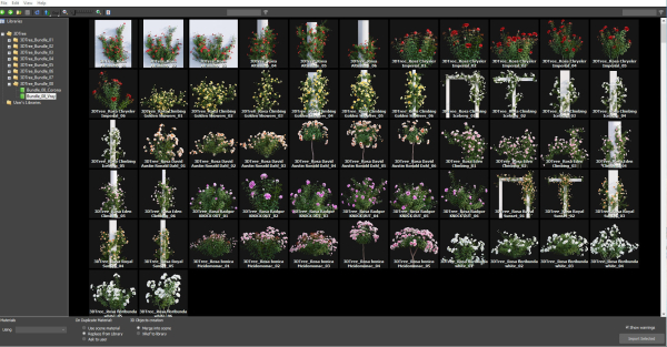 Rose garden-Bundle 08