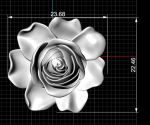 ROSE MODEL