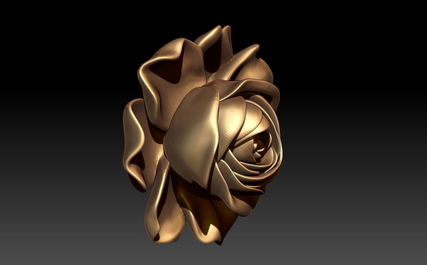 ROSE MODEL