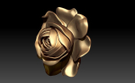 ROSE MODEL