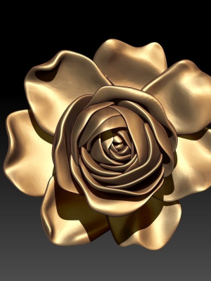 ROSE MODEL