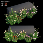 Rose plant set 11