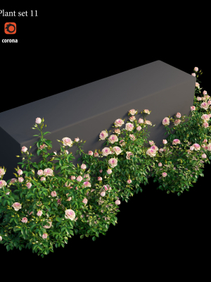 rose-plant-set-11-3d-model-c360a64a1e