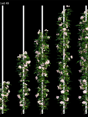 rose-plant-set-49-3d-model-4ec0f3a739