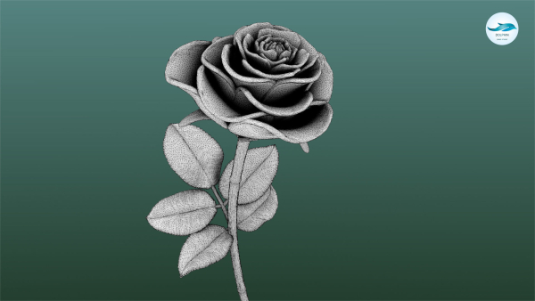 Rose Printable