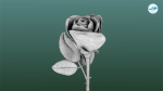 Rose Printable