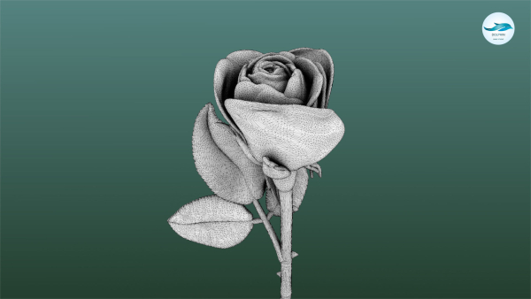 Rose Printable