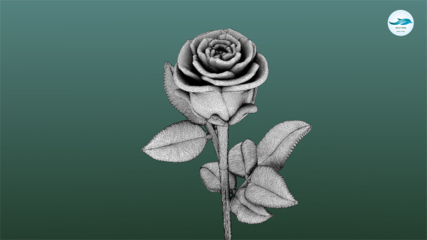 Rose Printable