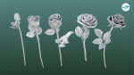 Rose Printable