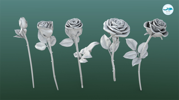 Rose Printable