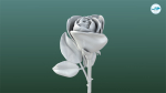 Rose Printable