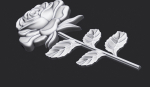 Rose relief