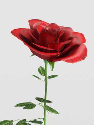 rose-rigged-animated-3d-model-animated-rigged-max