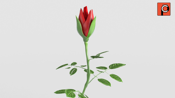 Rose Rigged Animated