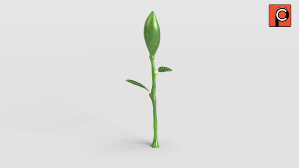 Rose Rigged Animated
