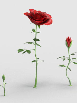 Rose Rigged Animated