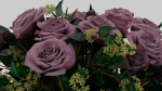 Roses in vase