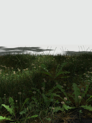 ryegrass-meadow-patch-3d-model-obj-fbx-blend