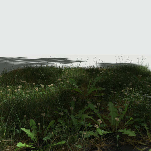 Ryegrass Meadow Patch