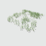 Ryegrass Meadow Patch