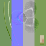 Ryegrass Meadow Patch