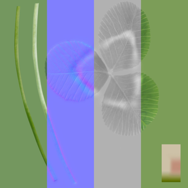 Ryegrass Meadow Patch