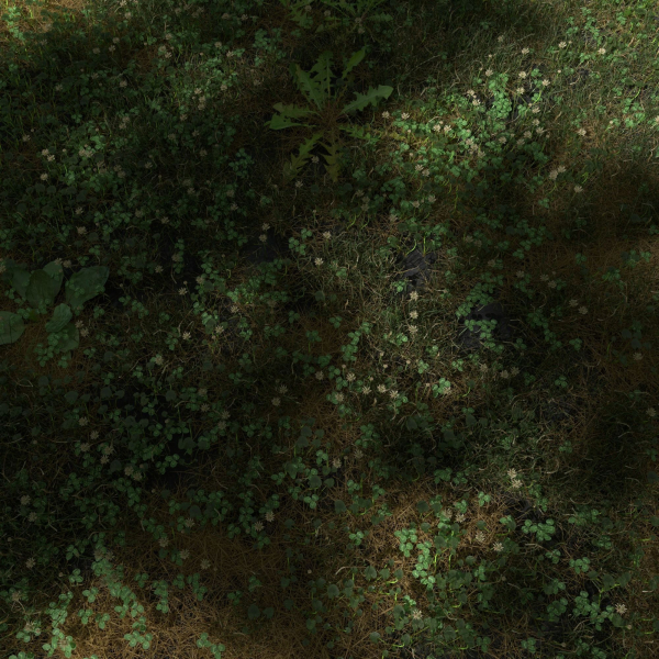 Ryegrass Meadow Patch